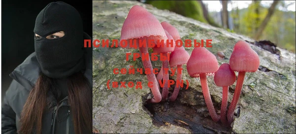 spice Белокуриха