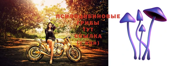 ALPHA PVP Беломорск