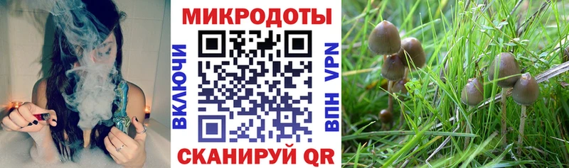 наркотики  Севск  Галлюциногенные грибы MAGIC MUSHROOMS 